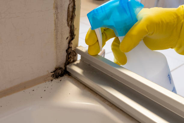 Best Residential Mold Removal  in De Pue, IL