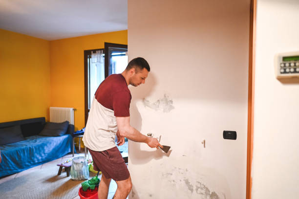 Best Mold Remediation Services  in De Pue, IL