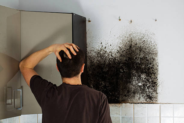 Best Crawl Space Mold Removal  in De Pue, IL