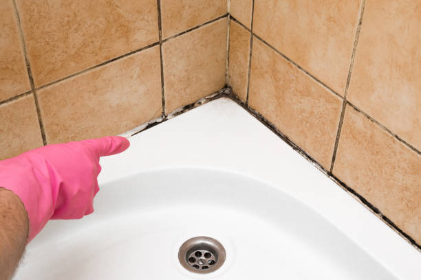 Best Emergency Mold Removal  in De Pue, IL